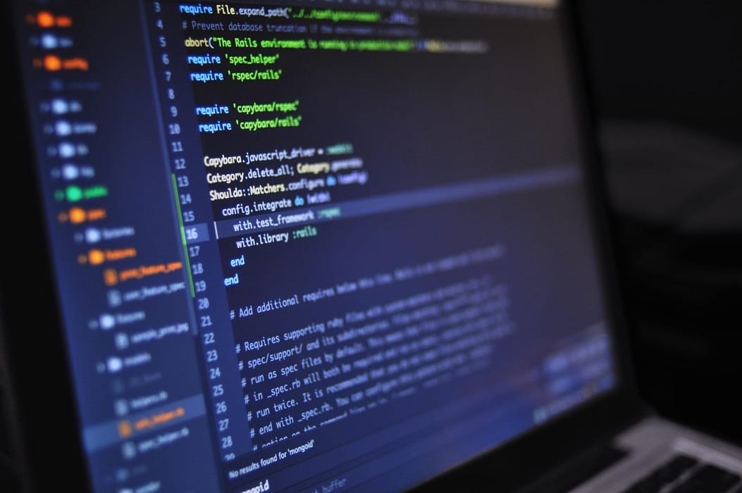 Team developing a custom web application