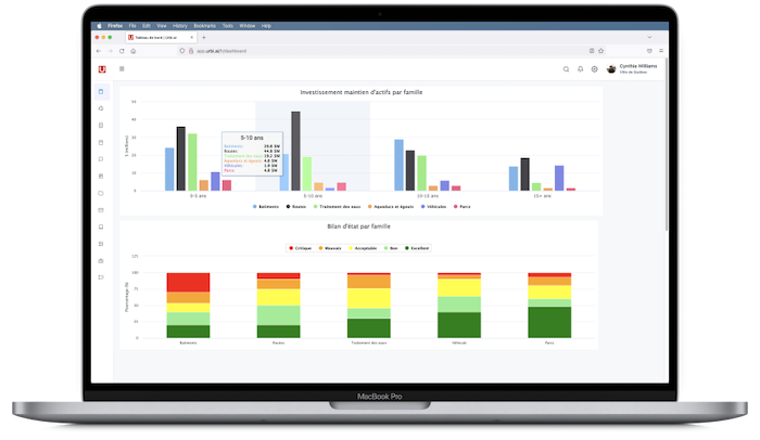 Custom web application for asset investment planning